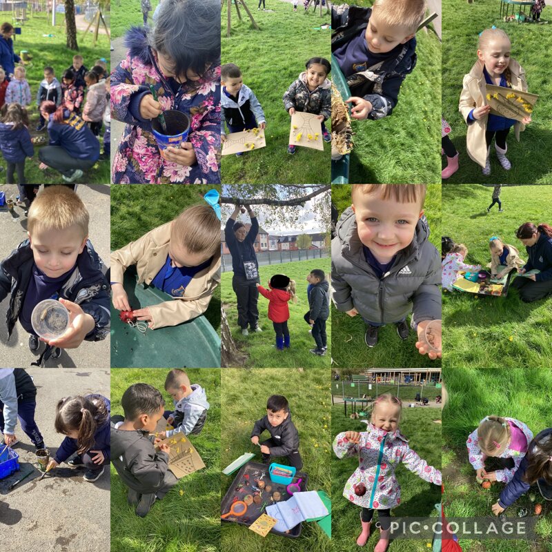 Image of Forest School Fun 