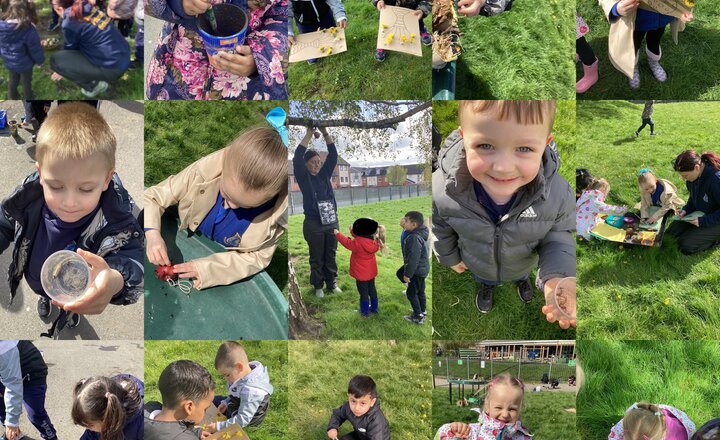 Image of Forest School Fun 