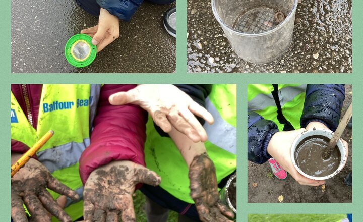 Image of Forest School - Mud and Bugs!